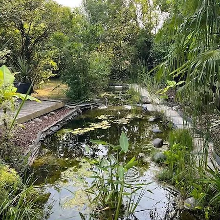 La Chainade Marennes