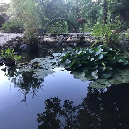 La Chainade * Marennes